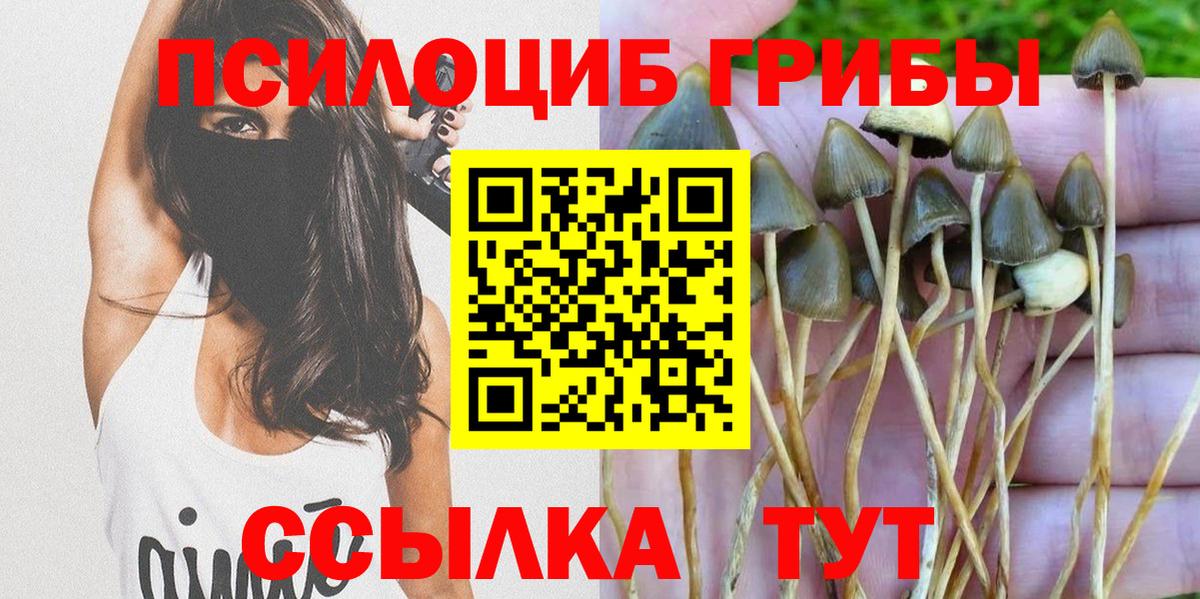 Псилоцибиновые грибы MAGIC MUSHROOMS Верхняя Салда