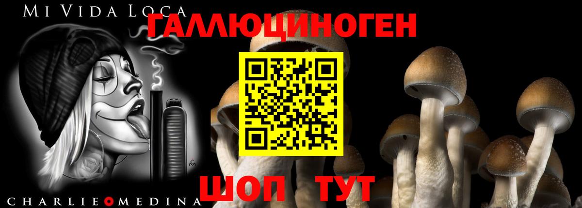 Галлюциногенные грибы Magic Shrooms  Вход с VPN  где найти   Верхняя Салда 